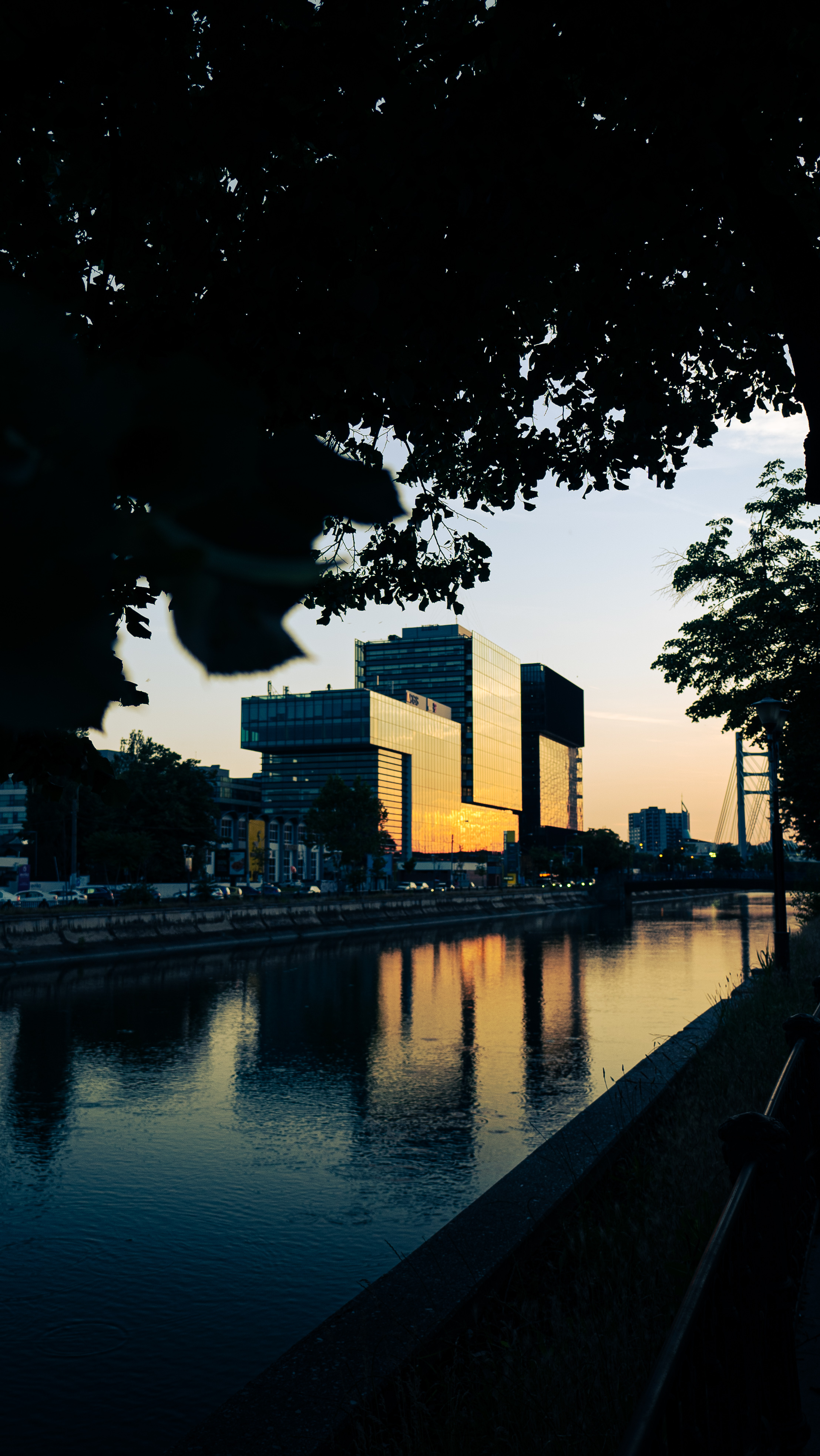 Fotografie din colectia personala 20